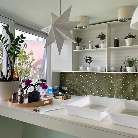 Design & Budget Schoenbrunn