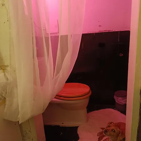 Apartment Atelier In Center, No Shower, Entire Place Vienna