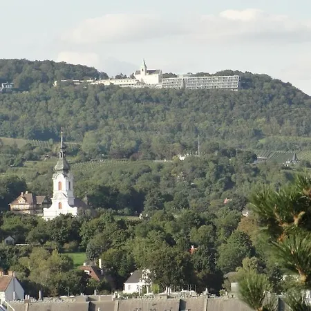 Krotti Hills Viena