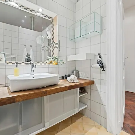 Apartment 2 Bedroom Vintage Apartment, Garden, Near Schoenbrunn