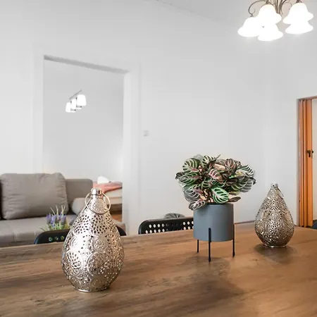 Commodious 3br Apt. Ideal For Families And Friends * Vienna