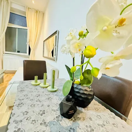 Chic For 5p, 12-min Walk To Augarten Apartment