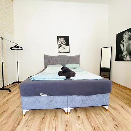 Comfy 3br In Prime Location Apartment *