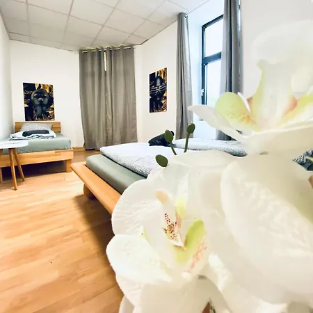 Bright & Spacious 3br With Direct Access Apartment *