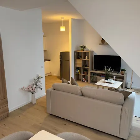Train Station, Kahlenberg, Historic, Danube - Axara Housing Fhg 20 Apartment *