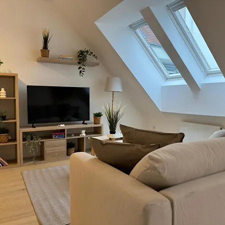 Train Station, Kahlenberg, Historic, Danube - Axara Housing Fhg 20 Apartment Vienna