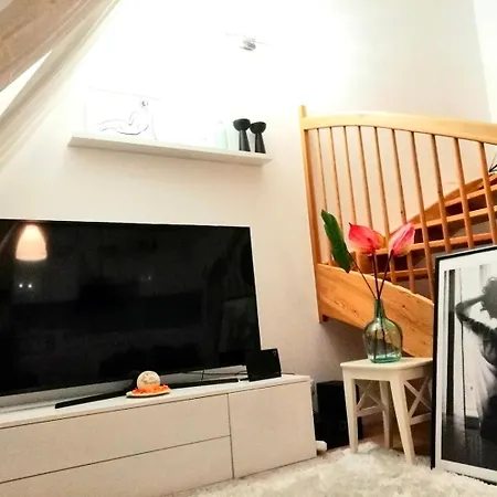Lovely And Modern
