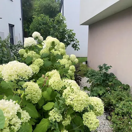 Apartment Mit Privatgarten & Salzwasserpool *