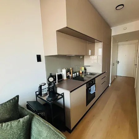 Apartamento Modern Overlooking The Skyline & Danube Viena