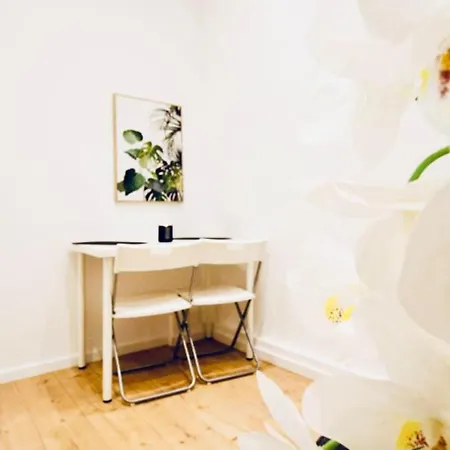 Super Cozy 5 Bedroom Shared 10min Walk To Augarten * Vienna