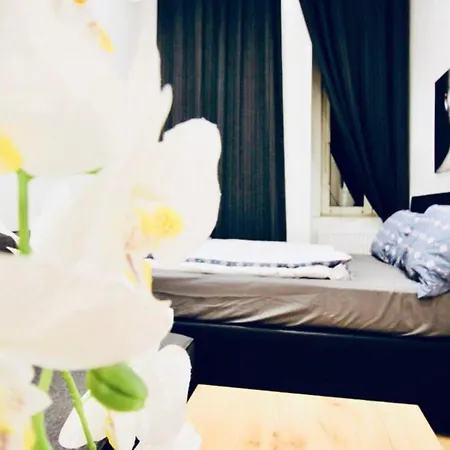 Super Cozy 5 Bedroom Shared 10min Walk To Augarten Vienna
