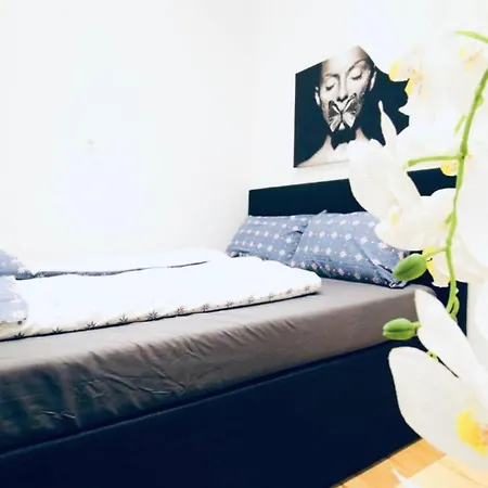 Super Cozy 5 Bedroom Shared 10min Walk To Augarten * Vienna