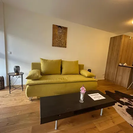 Beauty Erlachgasse Apartment *