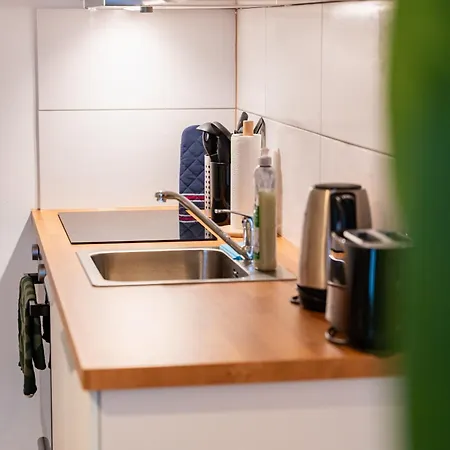 1110 Apartment Vienna