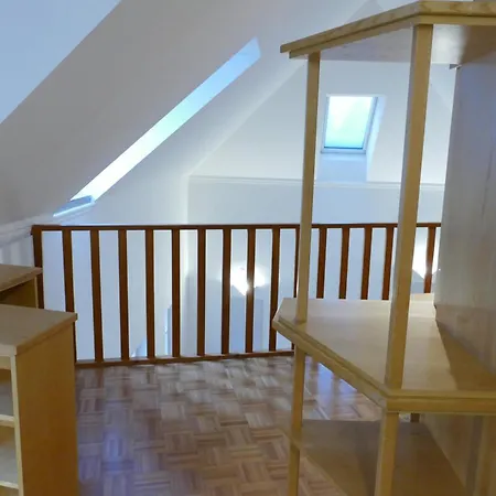 Traumhafte Maisonnette Mit Kamin Apartment