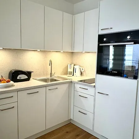 Apartment Stilvolle Premium-wohnung Mit Klimaanlage Und Dachterrasse Vienna