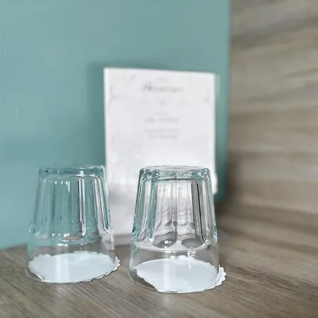 Design & Budget Schoenbrunn Viena