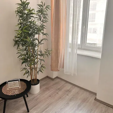 Apartment Spacious Netflix For Up To 4 People With Massage Shower Vienna