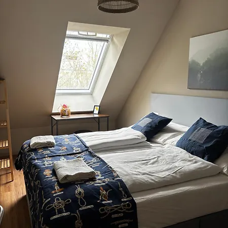 Hostel Nest *