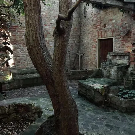 Eden Schoenbrunn Garden
