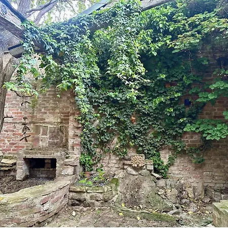 Eden Schoenbrunn Garden Apartment