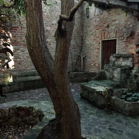 Eden Schoenbrunn Garden Apartment *