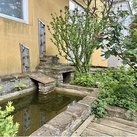 Apartment Eden Garden With Terrace & Bbq