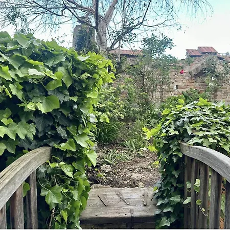 Eden Garden With Terrace & Bbq