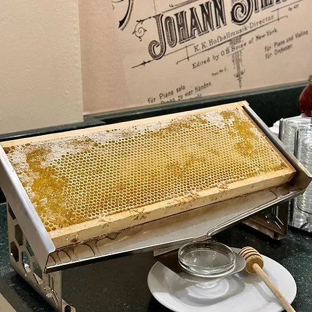 Hotel Johann Strauss Vienna