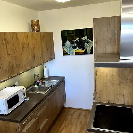 Apartamento Lovely 2-bedroom Close To Airport Viena