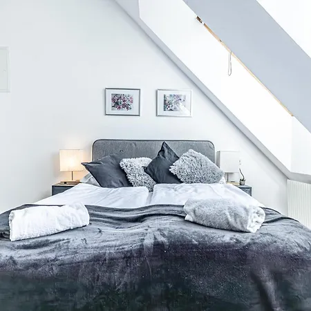 Apartment Stunning 12br Shared -floor Perfect For 24 People Group Wien