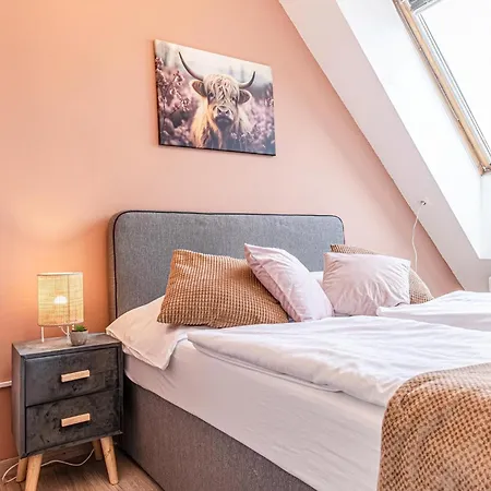 Stunning 12br Shared -floor Perfect For 24 People Group Apartment *