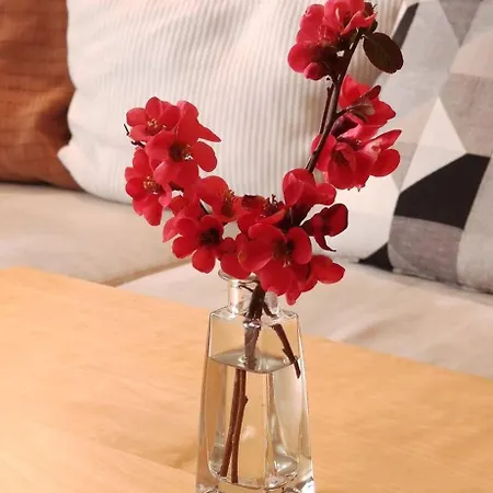 With Garden Terrace - Free Parking *