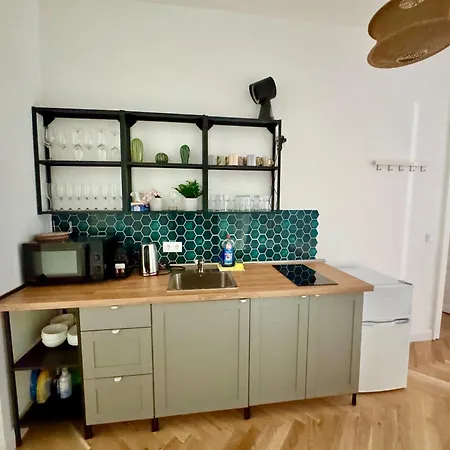 Renovated With Balcony Apartment