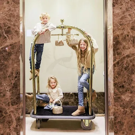 Hotel The Ritz-carlton, Viena