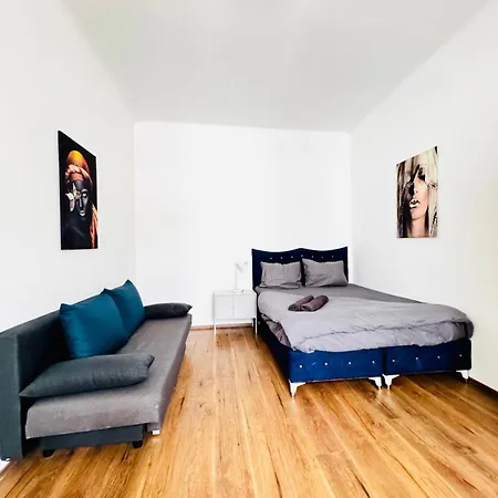 Stylih & Spacious Close To Augarten Park Apartment