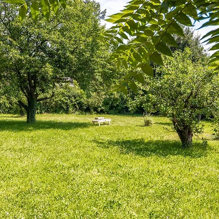 Apartmán Comfy 3br With Garden, Up To 10 People *
