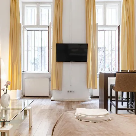 Appartement Spacious 1br Apt, Wifi & Tv, With A Great Location Vienne