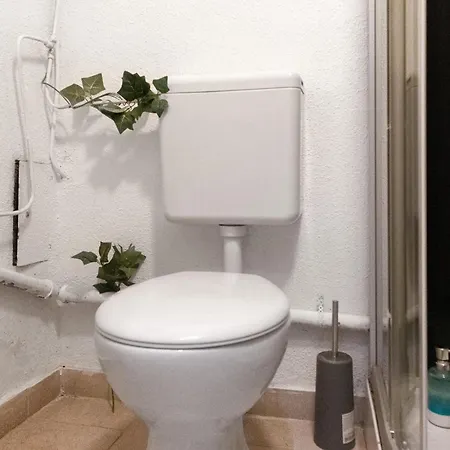Spacious 1br Apt, Wifi & Tv, With A Great Location