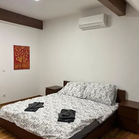 Loft With Terrace Apartment *
