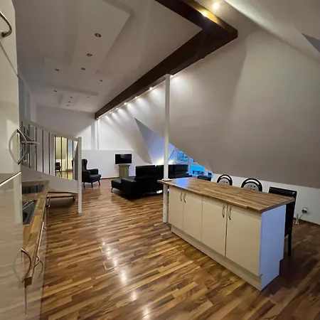 Apartment Loft With Terrace Wien