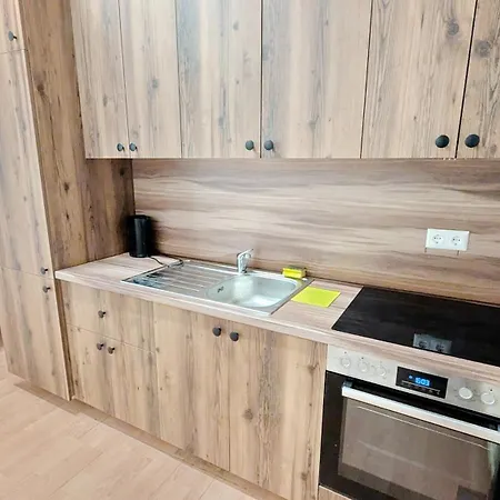 Spacious - 15 Min From Airport & Center, 5 Min From Main-bus Station Ez8 Vienna