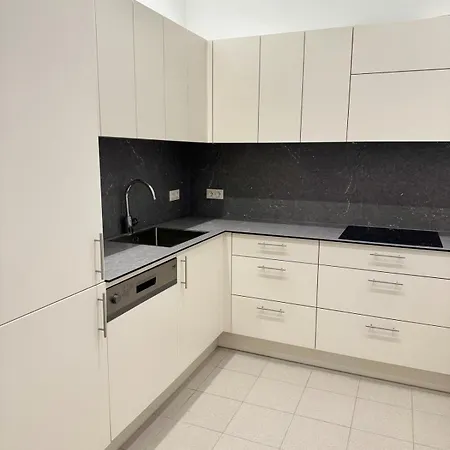Luxury 1st District Apartmán Vídeň