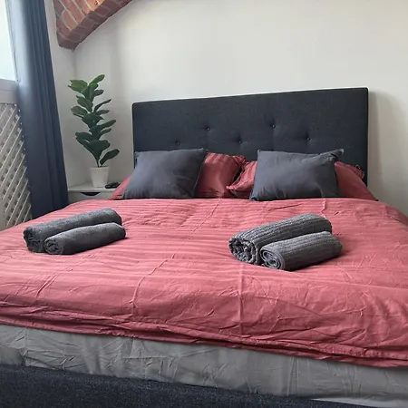 Classy Cosy *