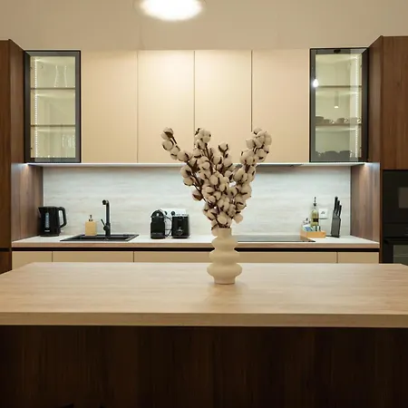 Apartment Spacious 3br Escape With Sauna And Billiard In The Center Vienna