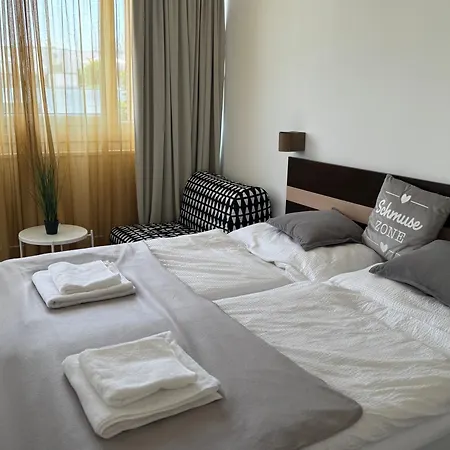Leon In Vienna,three Sleeping Places *
