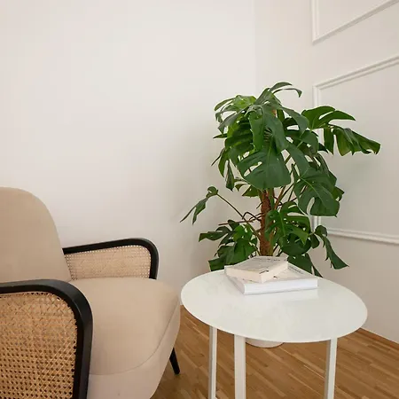 Posh 107 M2 3br Flat In The Center Of Vienna