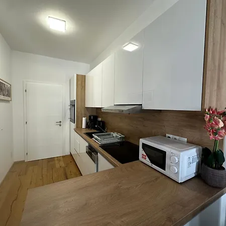 Apartment Beauty Erlachgasse Vienna