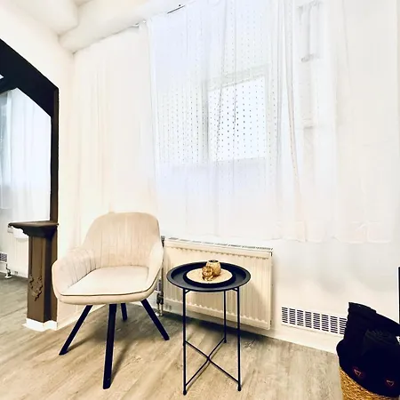 Very Spacious For Up To 7p With Great Location * Vienna