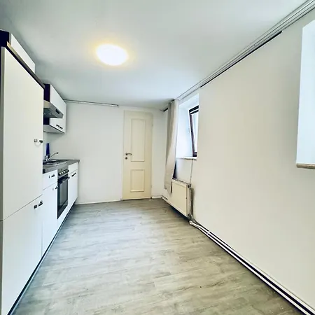 Very Spacious For Up To 7p With Great Location Apartment Vienna